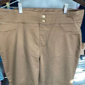 NWT Terra & Sky Jeggings